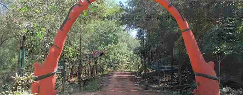 The Chhattisgarh government has become only the second state in the country to recognise Community Forest Resource (CFR) rights of a village inside a national park.

The CFR rights of tribals living i - Digital concept art for illustrative purpose, tags: stammesgemeinschaften - Monok